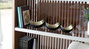 GINER Y COLOMER Lote de 3 cuencos decorativos en metal dorado y negro